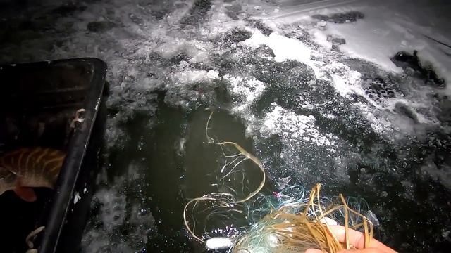 ПРОМЫСЛОВАЯ РЫБАЛКА НА СЕТИ! ПЕРВАЯ ПРОВЕРКА - НЕПЛОХО..! ЗИМНИЙ СЕЗОН 2022-2023! смотреть онлайн