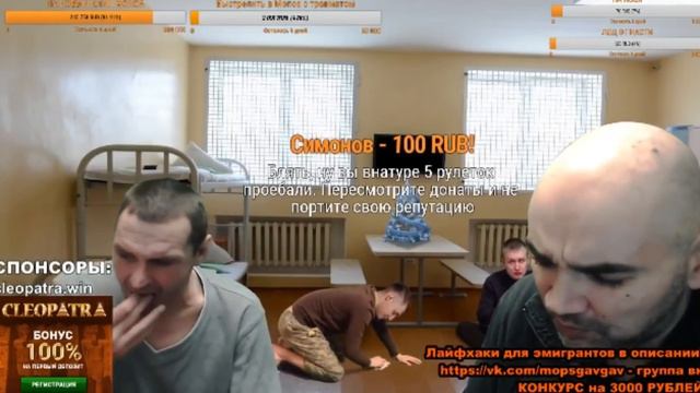 НАД МОПСОМ ИЗДЕВАЮТСЯ смотреть онлайн