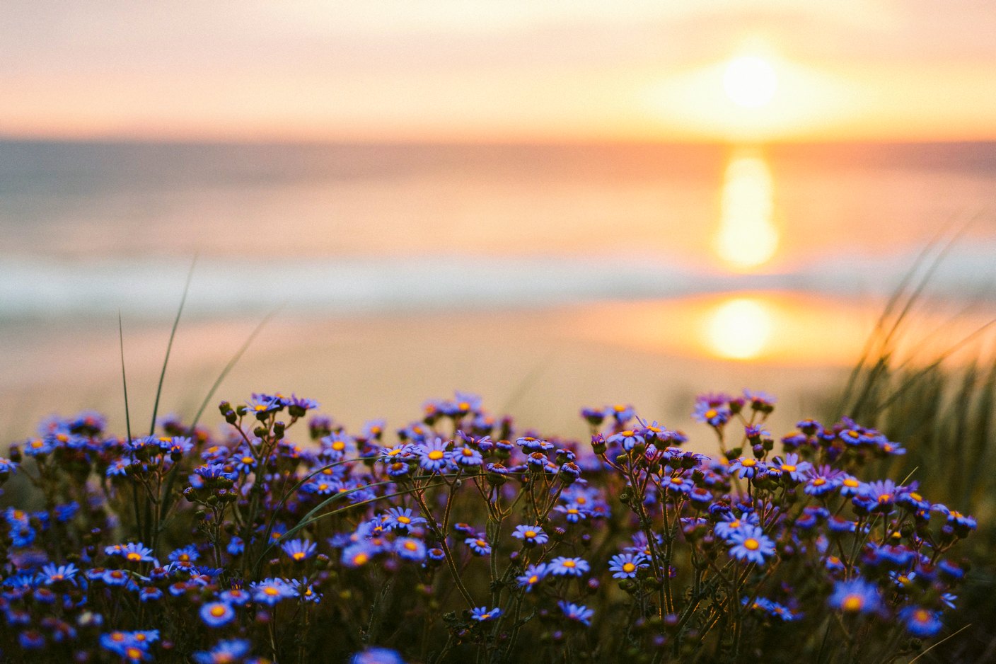 Vespers On The Shore