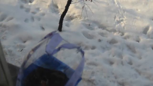 Кормушки для синиц. Кормление птиц зимой. смотреть онлайн