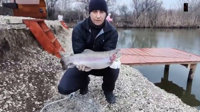 Платная рыбалка пруд "Чёрные камни" форель 12.03.20г. смотреть онлайн