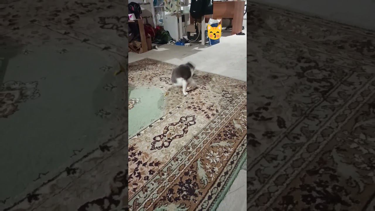 30 сентября 2023 г. смотреть онлайн