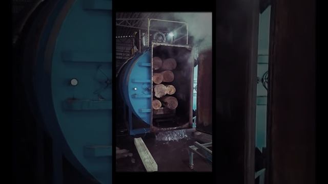 Кедр бревно: камерная СВЧ-сушка древесины МОЛЛЕС смотреть онлайн