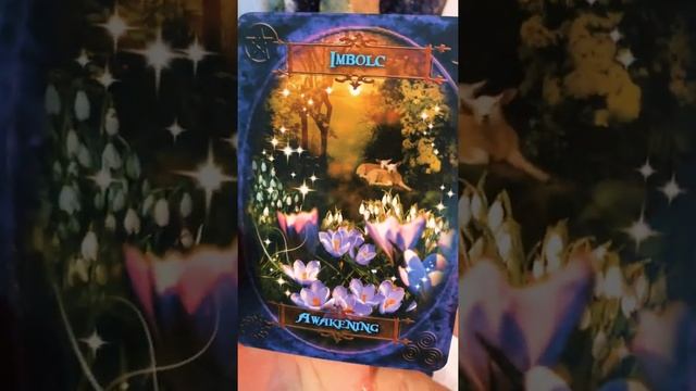 Witches Wisdom Oracle (Flip Through) ??⬛ смотреть онлайн