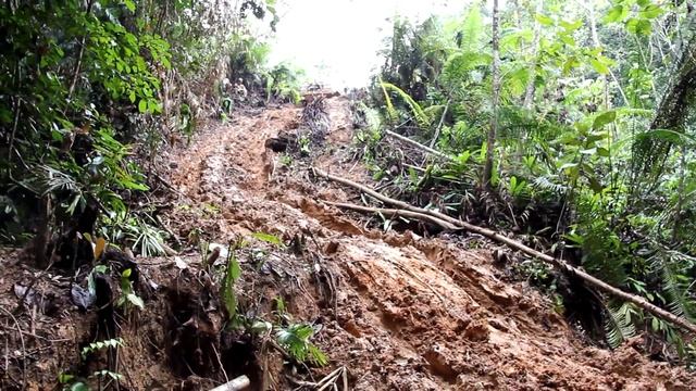 How to lose your marbles in the Borneo Safari...Part 1 смотреть онлайн
