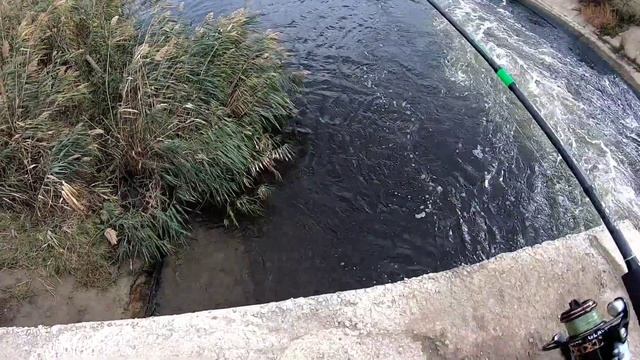 Рыбалка,Осень,Спиннинг.Ачикольские Озера. смотреть онлайн