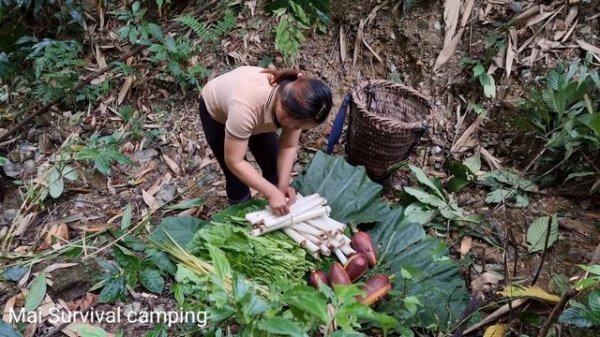 Harvest Vegetable Garden, Forest Banana & Banana Core Goes to the market sell