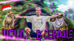 Нашли монстра на Бали. Нас покусали. Приехали в Убуд называется…