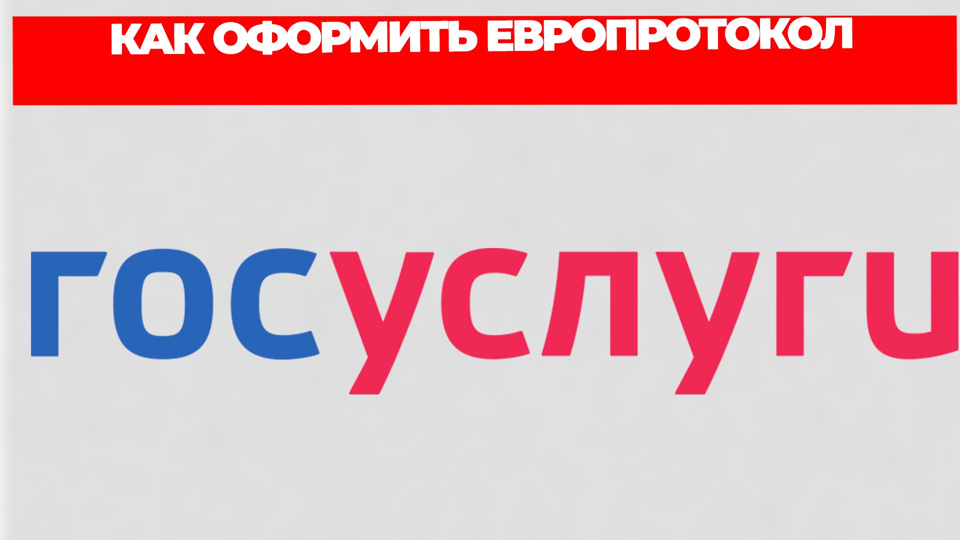 Всезнающий Енот