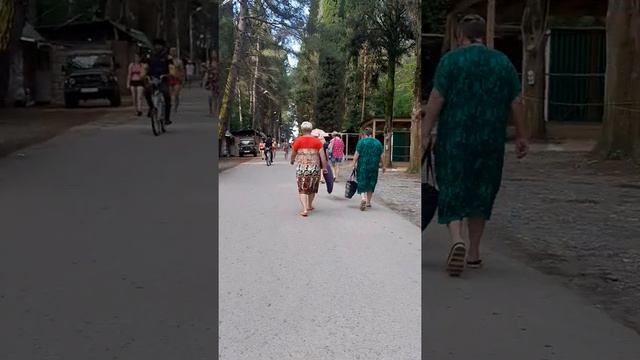 Кипарисовая аллея. Абхазия. Пицунда. смотреть онлайн