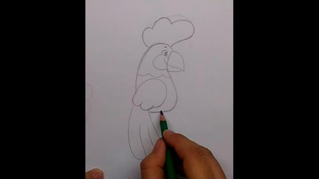 Как нарисовать мультяшного попугая смотреть онлайн