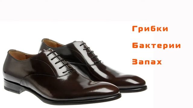 Lekor.ru Сушка для обуви Тимсон с ультрафиолетом противогрибковая Timson смотреть онлайн