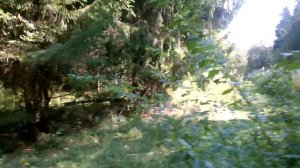 Тестовый отстрел патрона 410 калибра с пулей "Байбак" на дистанции 50 метров.