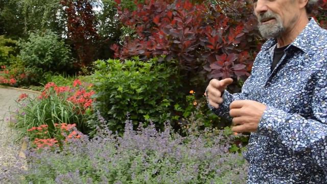 The Best Ways to Control Weeds in Your Garden смотреть онлайн