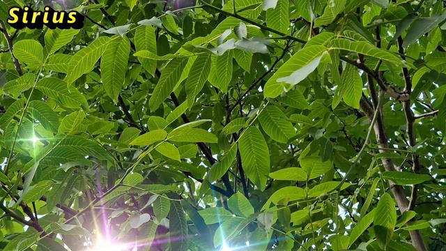 Каких знаков зодиака в конце лета ждет разочарование смотреть онлайн