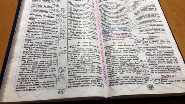 155. Чтение Библии по плану. Псалом 8-14. смотреть онлайн
