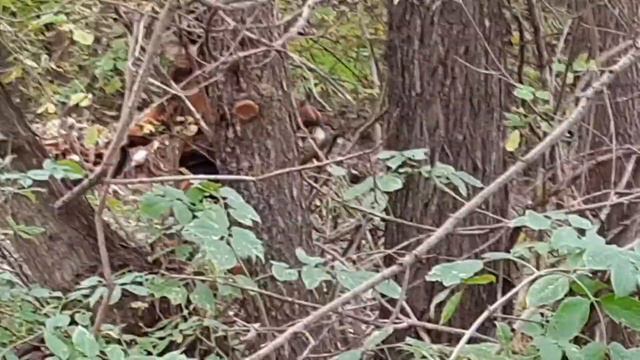 Весна "серия 7" смотреть онлайн