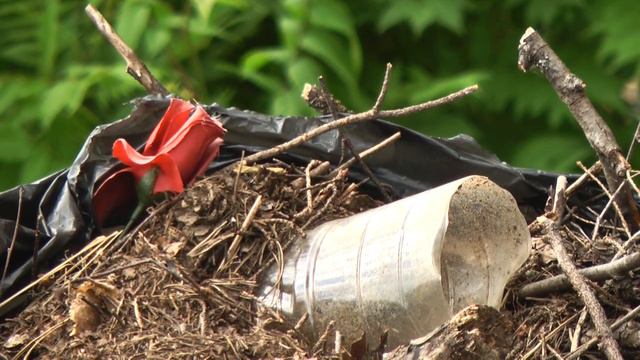 Когда же будет порядок? Свалки на городских кладбищах беспокоят население смотреть онлайн