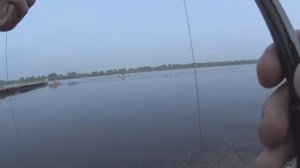 За форелью на Енисей!