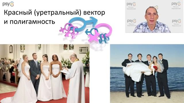 Красный вектор всегда полигамен? смотреть онлайн