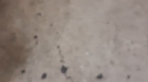 Замена масла Kawasaki Zzr Кавасаки ЗЗР