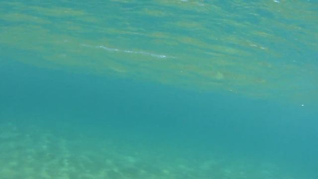 Пляж Тереситас на Тенерифе | Влог #6 смотреть онлайн