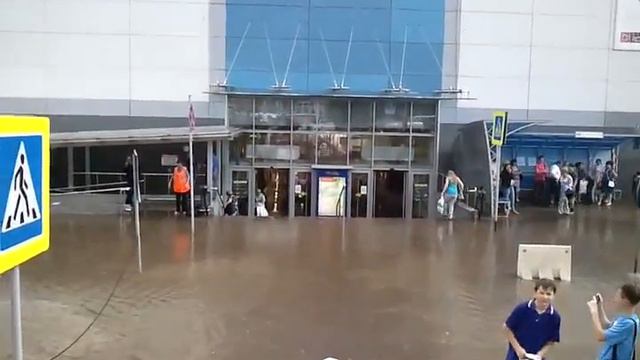 Потоп в СГ смотреть онлайн