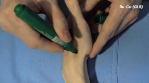 Точки - Ян Си GI 5