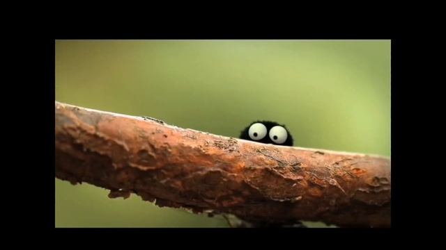 Муха и Паук/ Ржач до слез/ Fly and Spider смотреть онлайн