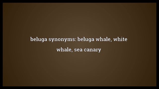 Beluga Meaning смотреть онлайн