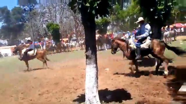 Patronales de Juan de Mena(1) смотреть онлайн