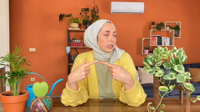 POTHOS N'JOY BAKIM TÜYOLARI VE ÇOĞALTILMASI смотреть онлайн