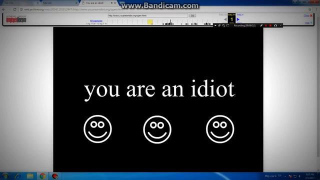 Youareanidiot.org On Windows 10