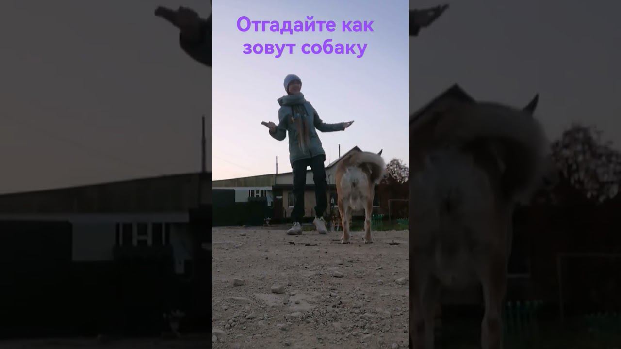 у неё были свои важные дела смотреть онлайн