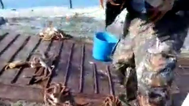 Ловля краба смотреть онлайн