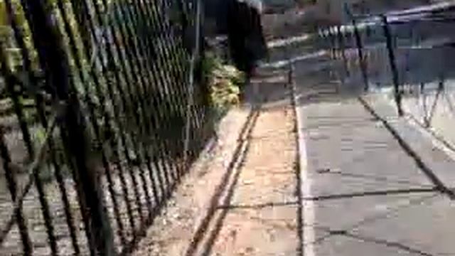 Мы гуляем город Смоленск 2 часть смотреть онлайн