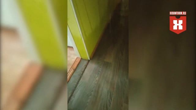 Залитие Бредова 5 27 февраля смотреть онлайн