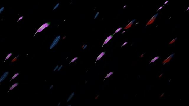 Видеофон летающие перышки /Videophone Flying Feathers