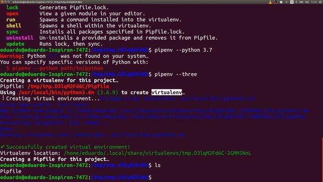 Como criar e apagar um ambiente virtual com pipenv смотреть онлайн