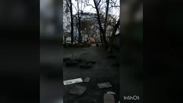 Как мы кормим кошек