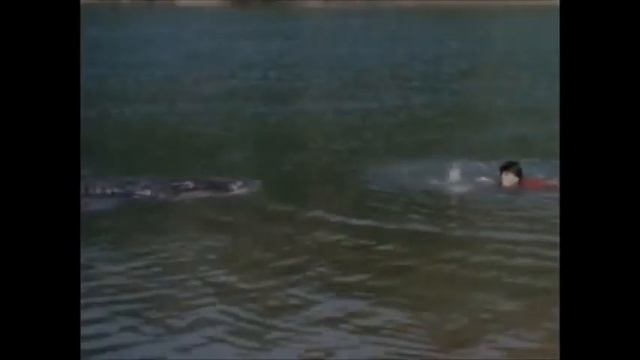 Monkey Boy vs Gatoroid смотреть онлайн