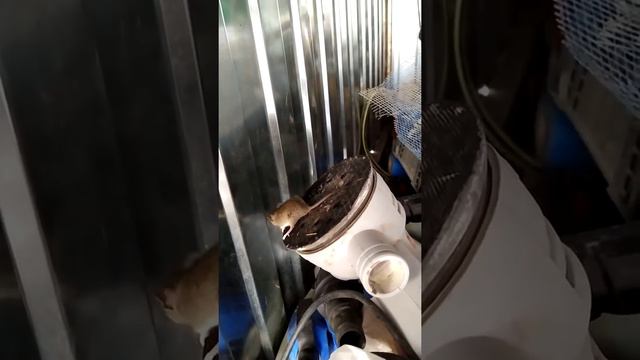 Безвыходное положение смотреть онлайн