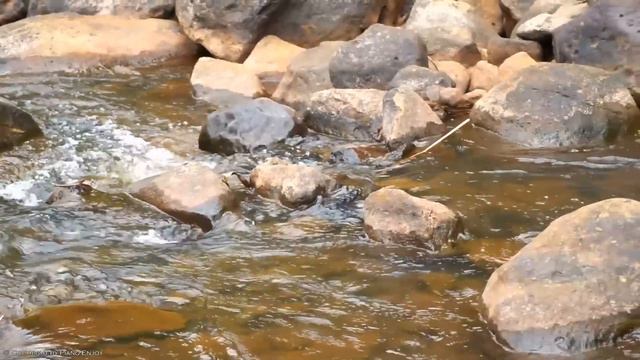 The Best of Piano: Top 100 Legendary Piano Love Songs Of All Time - Romantic Classical Piano Music смотреть онлайн