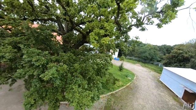 50 КМ на Kugoo G Booster V.2 смотреть онлайн