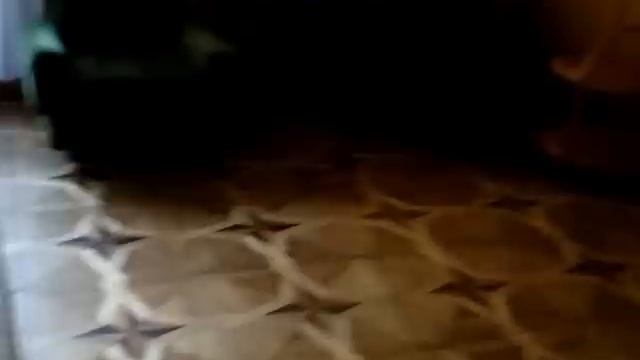 Абхазия Дача Сталина на оз.Рица (1) смотреть онлайн