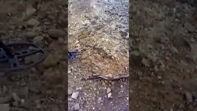 Клады в крыму (2013г.) GARRETT AT PRO смотреть онлайн