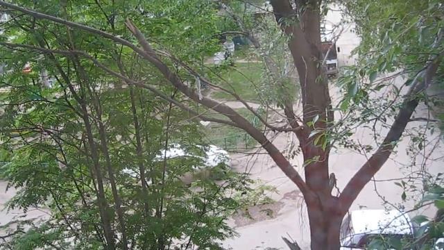 Влог.Покупка продуктов.О зеленом чае.Едем к родителям.Плохая дорога.Жарим шашлык.