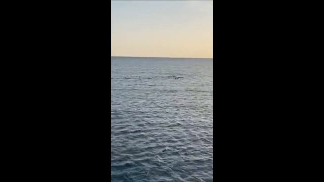 Рассвет на Красном море. Марса алам смотреть онлайн