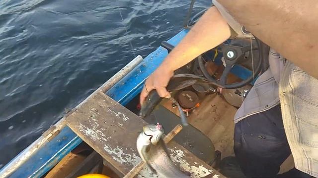 Ангара Рыбалим хариуса смотреть онлайн