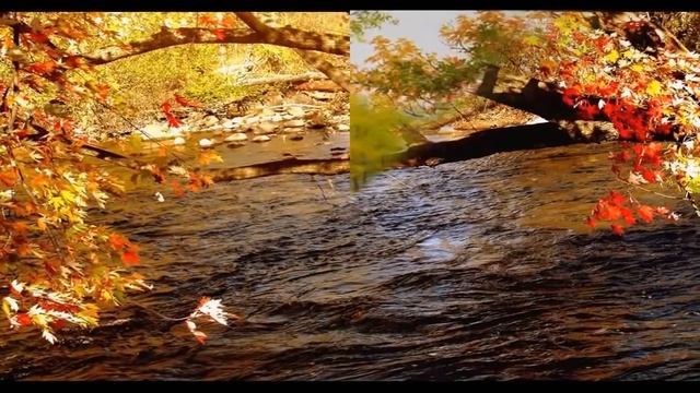 Фредерик Шопен НОКТЮРН до-диез минор - Frederic Chopin NOCTURNE C-sharp minor (cis-moll) смотреть онлайн